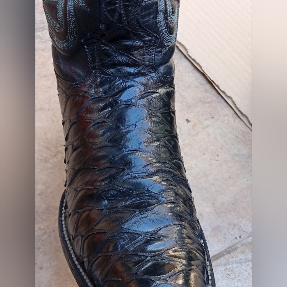 Pre Ban Anteater Cowboy Boots - Picture 15 of 16